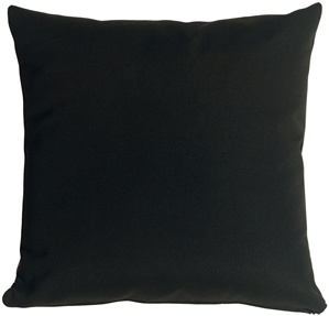 Sunbrella Black 20x20 Outdoor Pillow